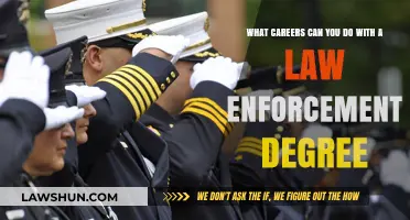 Explore Career Options With a Law Enforcement Degree
