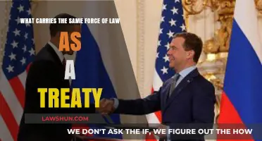 Executive Agreements: The Legal Powerhouse Equivalent to Treaties Explained