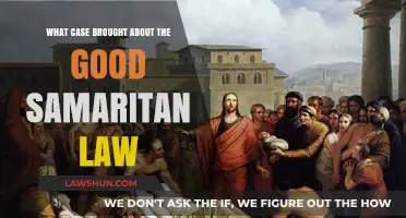 Understanding the Good Samaritan Law: Landmark Case Study