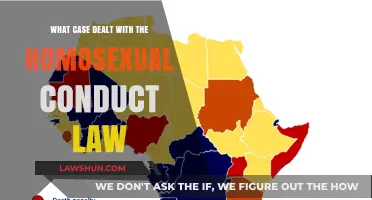 The Landmark Case That Challenged Homosexual Conduct Law