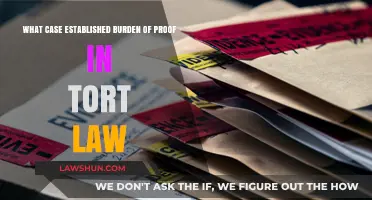 Tort Law Burden of Proof: Landmark Case