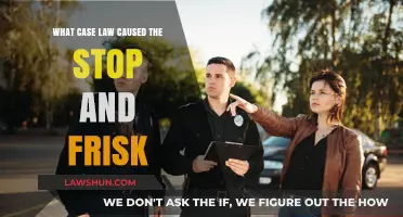 How Stop and Frisk Became Legal: A Case Law Analysis