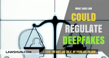 Deepfake Regulation: Exploring Legal Boundaries