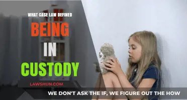 Custody Definition: Case Law and You