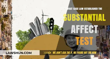 Case Law: Substantial Affect Test Established