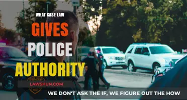 Case Law: Understanding Police Powers