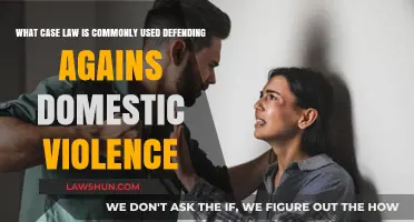 Defending Domestic Violence: Case Law Strategies