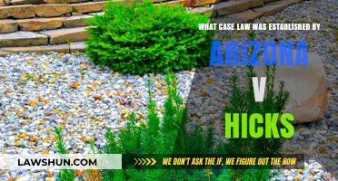 Hicks' Impact: Case Law Explained