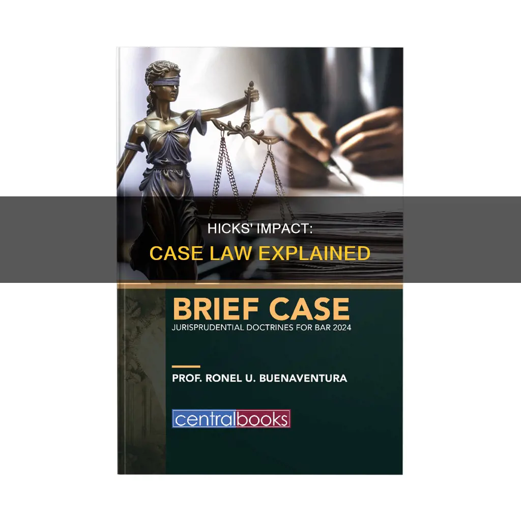 what case law was established by arizona v hicks