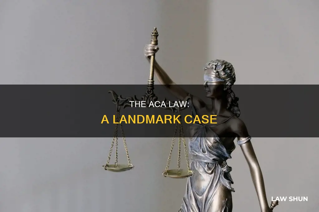 what case started the aca law