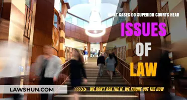 Superior Courts: Issues of Law