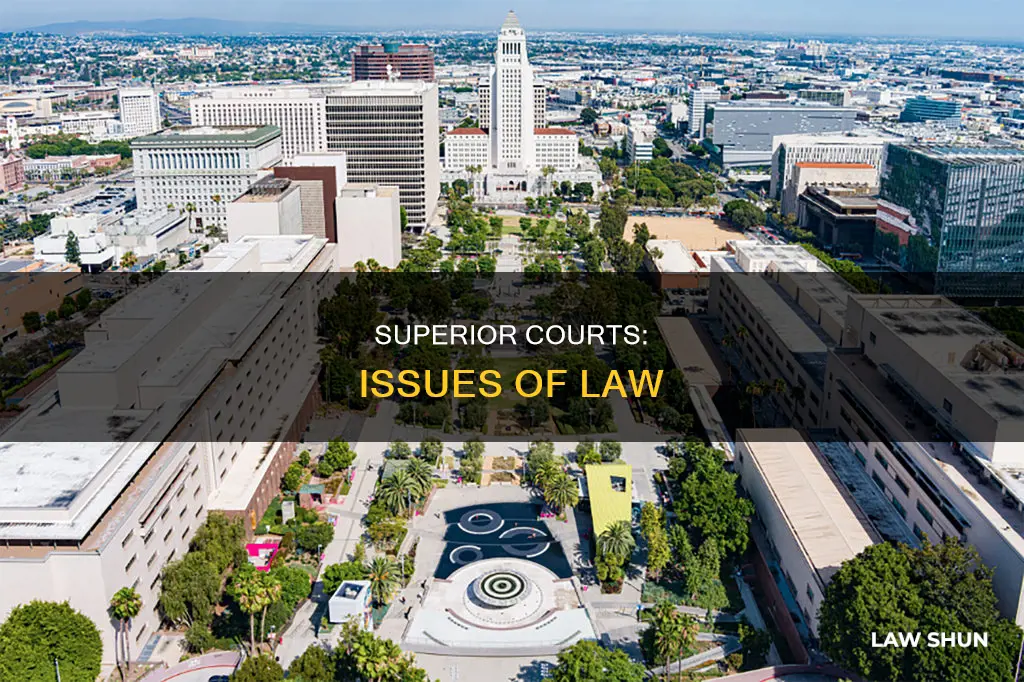 what cases do superior courts hear issues of law