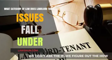 Landlord-Tenant Disputes: Understanding the Legal Category of Rental Law