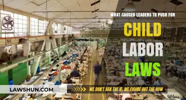The Fight for Fairness: Why Leaders Championed Child Labor Laws