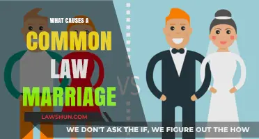 Understanding Common Law Marriage: How It's Established