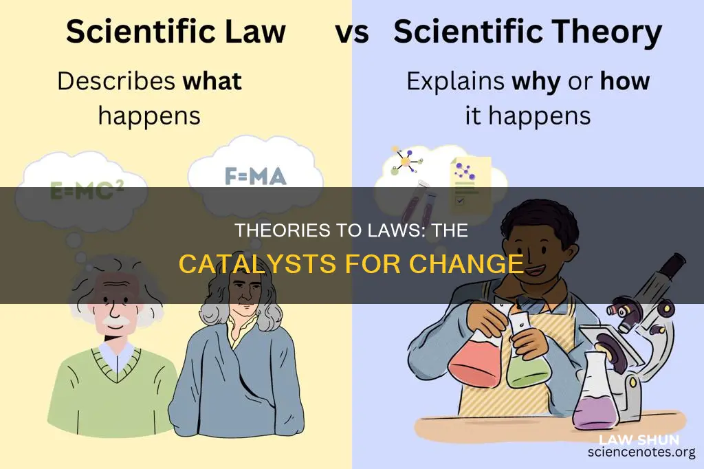 what causes a theroy to become a law