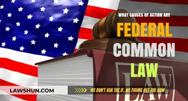 Federal Common Law: What Actions Does It Cover?