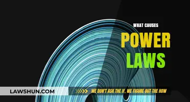 Unraveling Power Laws: Key Factors Shaping Scale-Free Phenomena