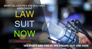 Who's Suing Now? Celebrities and the First Amendment