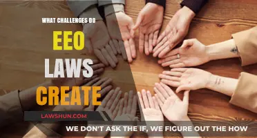Navigating EEO Laws: Challenges and Compliance for Employers