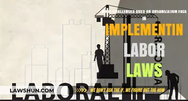 Navigating Labor Law Compliance: Key Challenges for Modern Organizations