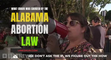 Alabama Abortion Law: Chaos and Consequences