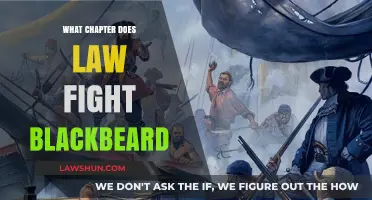 The Legal Battle Against Blackbeard: A Chapter in Maritime Law