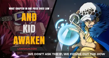 One Piece: Law and Kid's Awakening Chapter Revealed