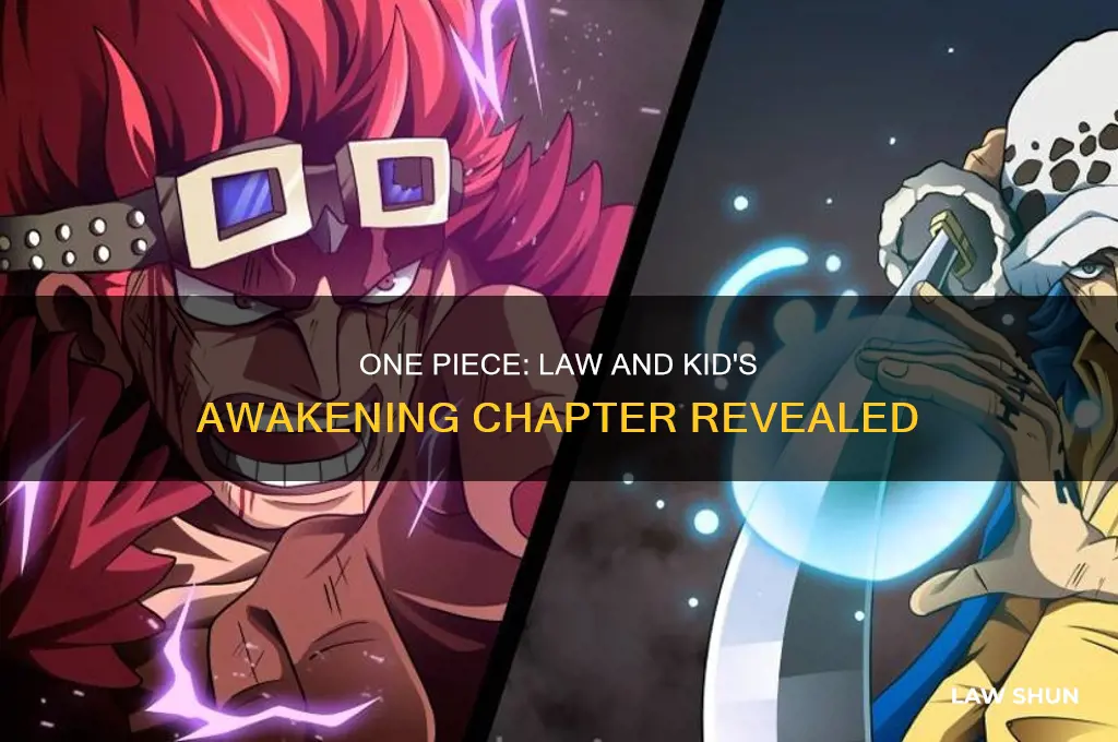 what chapter in one piece does law and kid awaken