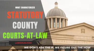 Understanding Key Features of Statutory County Courts-at-Law in Texas