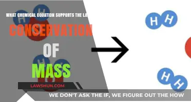 Chemical Reactions Upholding Mass Conservation: Key Equation Explained
