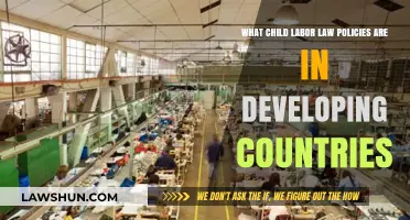 Child Labor Laws in Developing Nations: Policies and Challenges
