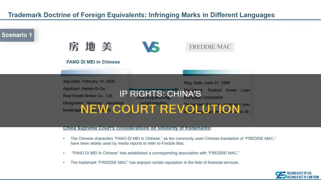 what chinese law creates specialized ip courts