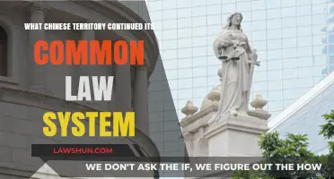 Hong Kong's Unique Legal Legacy