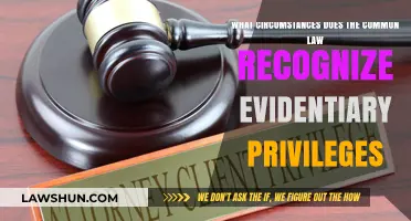 Understanding Evidentiary Privileges in Common Law