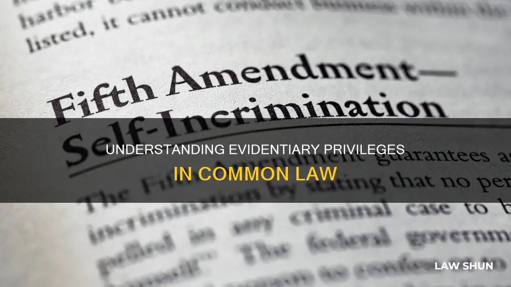 what circumstances does the common law recognize evidentiary privileges