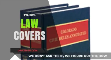 Understanding Civil Law: Scope, Coverage, and Key Areas Explained