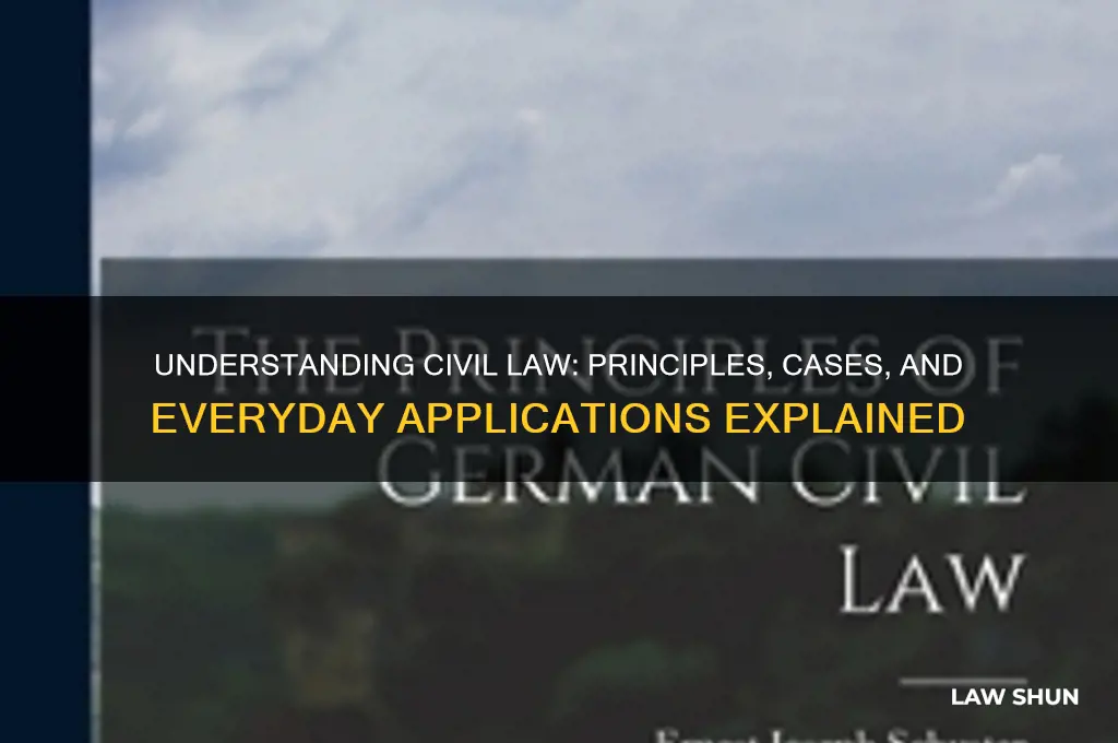 what civil law is all about