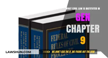 Understanding Civil Law Instituted in General Chapter 9: Key Provisions