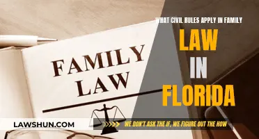 Civil Rules in Florida Family Law Explained