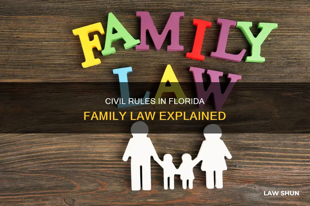 what civil rules apply in family law in florida