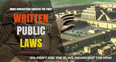 The First Written Public Laws: Ancient Code Origins