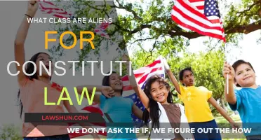 Alien Classification: Constitutional Law's Grey Area