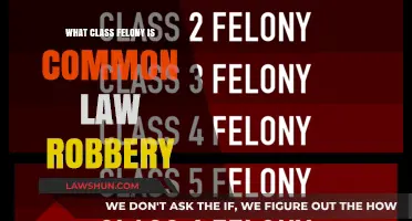 Robbery Charges: Understanding Felony Degrees and Sentencing