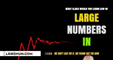 Exploring the Law of Large Numbers: Which Class Teaches It?