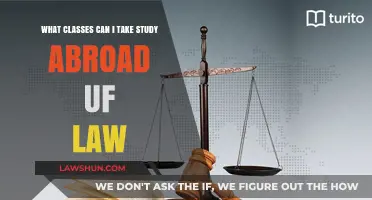 Study Abroad: Classes at UF Law