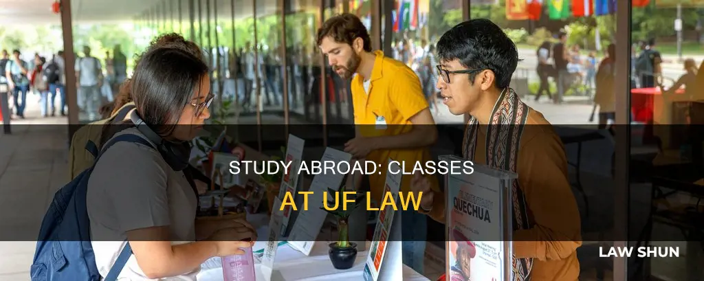what classes can i take study abroad uf law