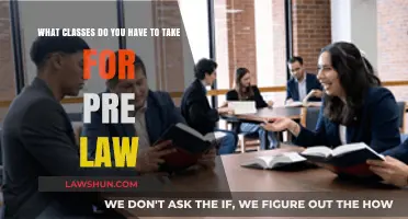 Essential Pre-Law Courses: Building a Strong Foundation for Law School