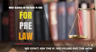 Essential Pre-Law Courses: Building a Strong Foundation for Law School