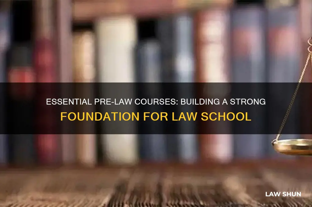 what classes do you need to take for pre law